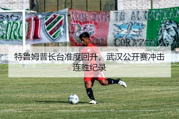 特鲁姆普长台准度回升，武汉公开赛冲击连胜纪录